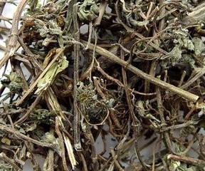 自制二至丸的做法