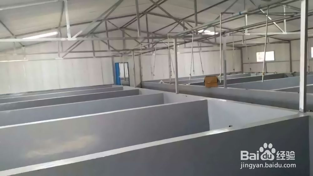南宝水产育苗养殖专用漆