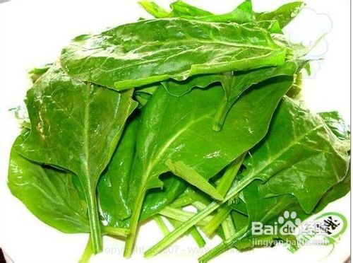 如何给英国短毛猫炒菠菜鸡肉饭