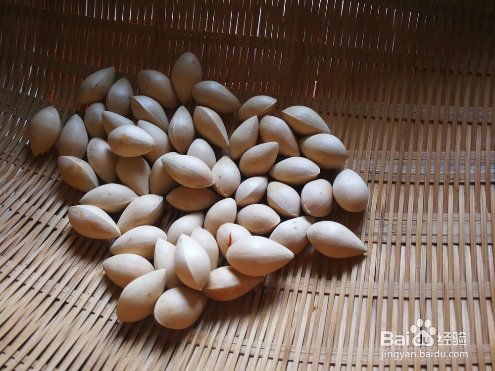味道绝美的白果老鸭汤