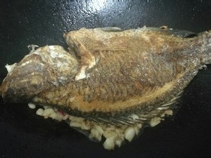 食补养生红烧福寿鱼(罗非鱼)