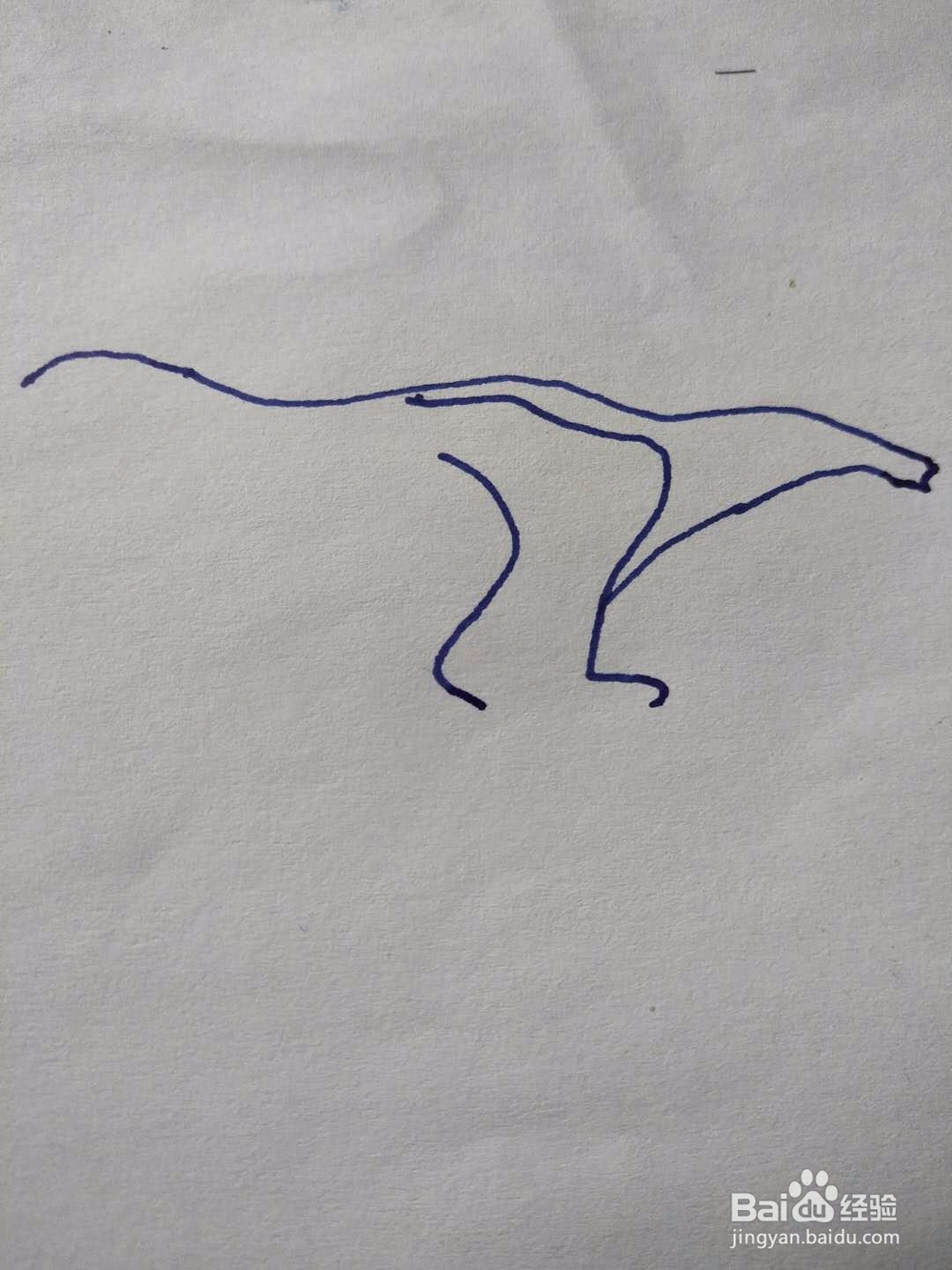 简笔画之食蚁兽