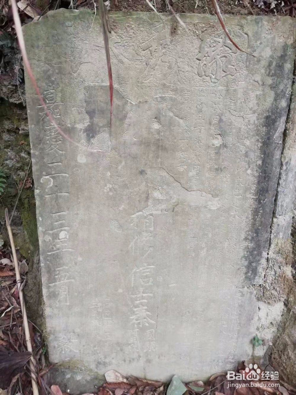 家谱编写收集资料的方法