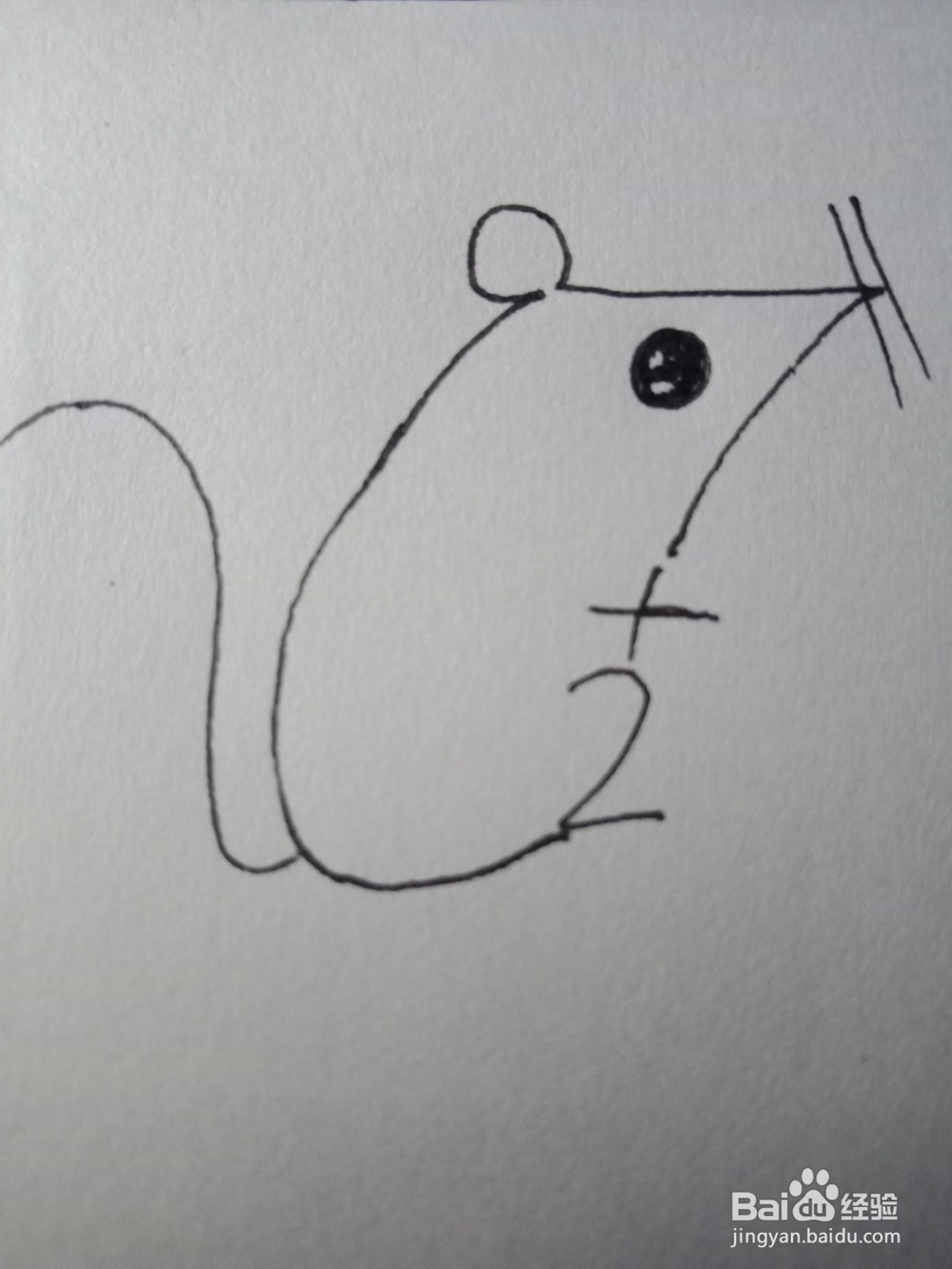 简笔画—2+7=9画老鼠