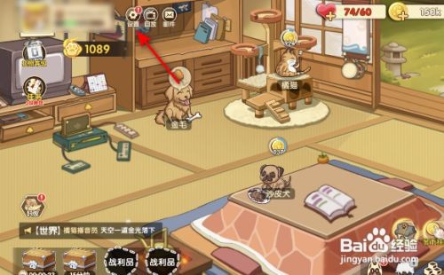 狗狗呼叫喵星宝箱解锁推送怎样关闭