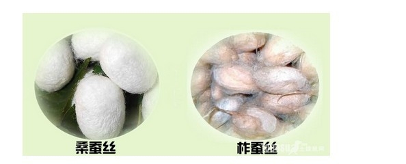 哪种蚕丝被好,蚕丝被芯怎么洗