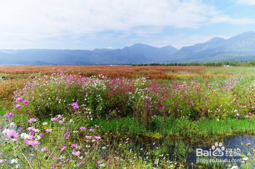 七彩云南旅游攻略