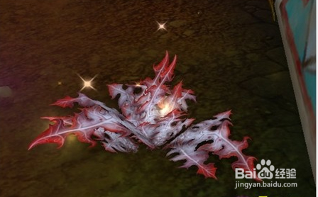 魔兽万圣节吓人的箱子怎么获得