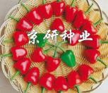 辣椒多姿多样