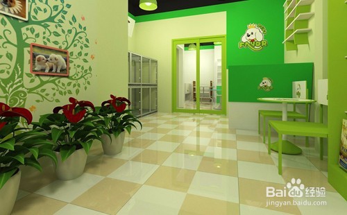 开宠物店需要多少钱