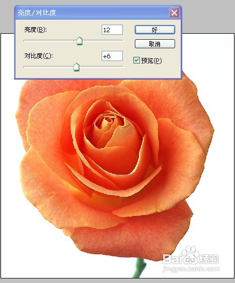 Photoshop结合illustrator快速绘制漂亮矢量底纹