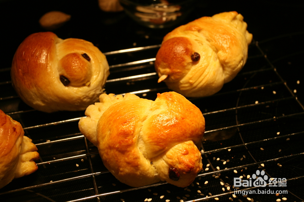 怎么做鸽子鸟面包(中种)?