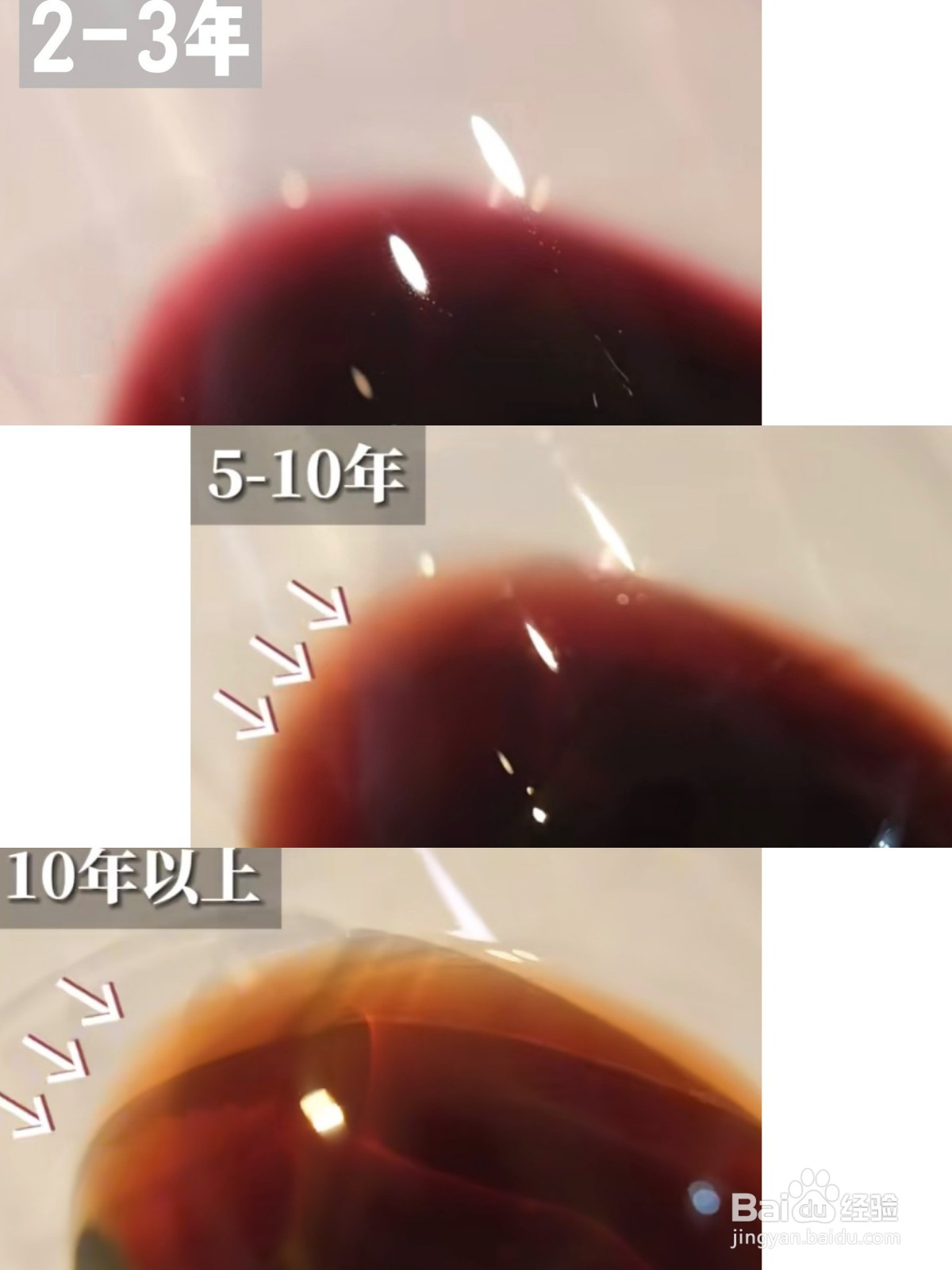 怎样品尝葡萄酒？