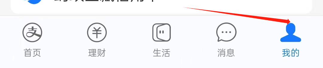 支付宝如何查看皮肤中心