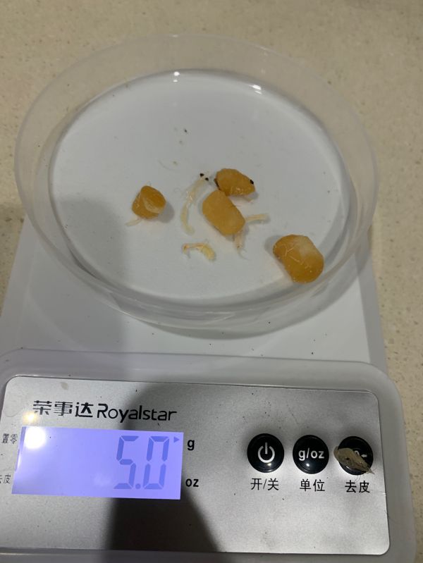 鲍鱼花菇玉竹煲排骨