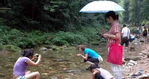 九江到张家界自驾游