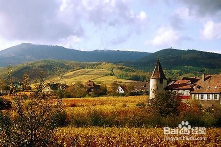 品尝葡萄酒 走进阿尔萨斯