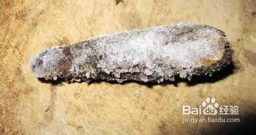 妈妈的海参汤怎么做