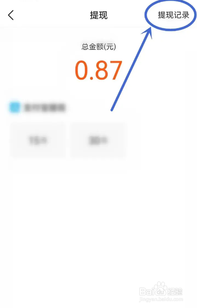 如何使用有柿APP查看提现记录?