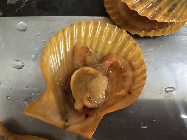 蒜蓉粉丝蒸扇贝带子