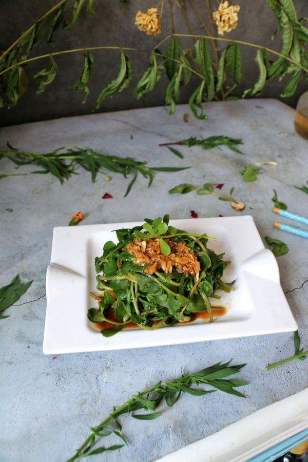 野味小菜凉拌马齿苋