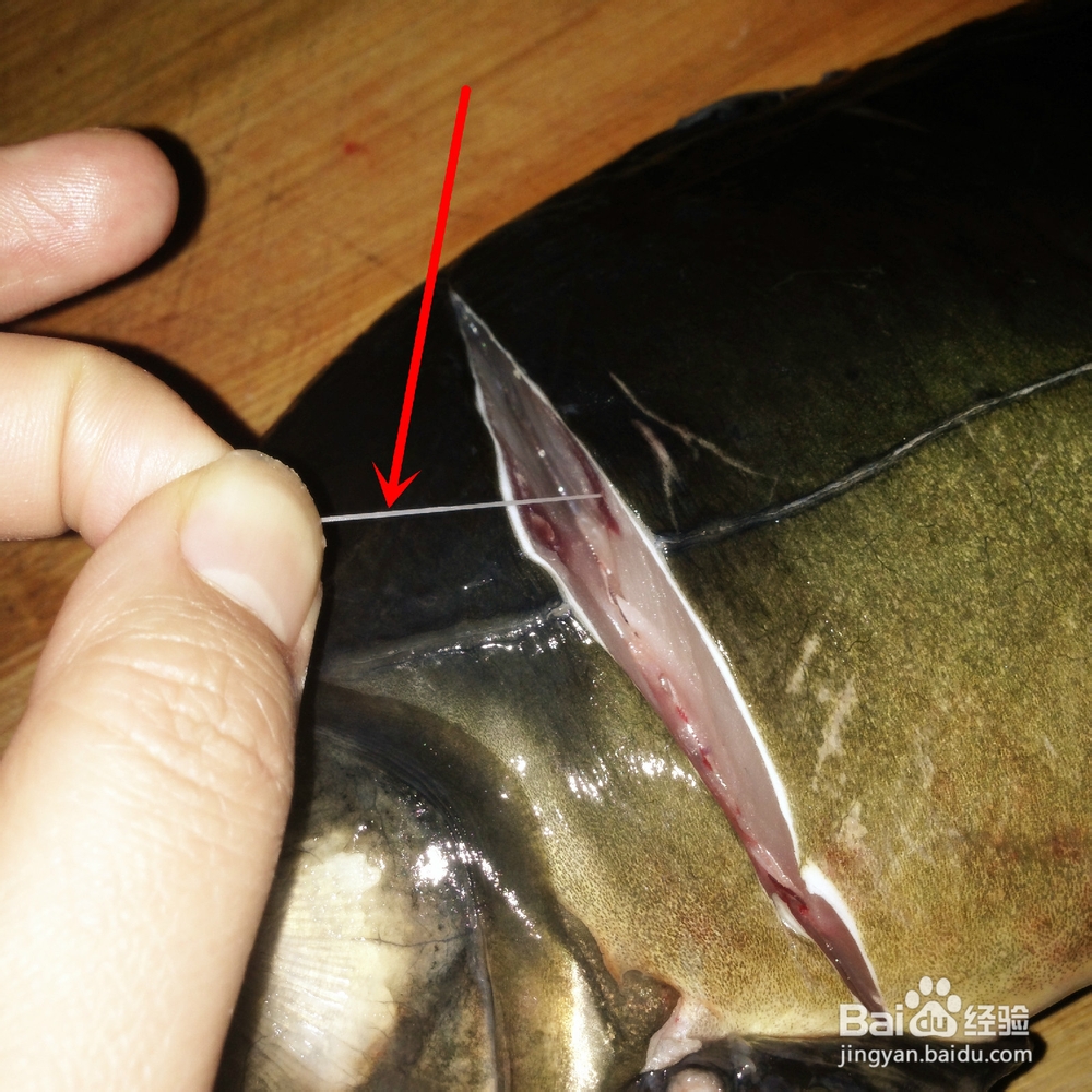 吃鲤鱼如何给鲤鱼抽筋?