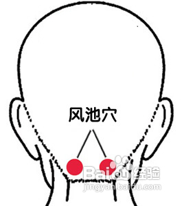 穴位按摩怎样治斑秃?