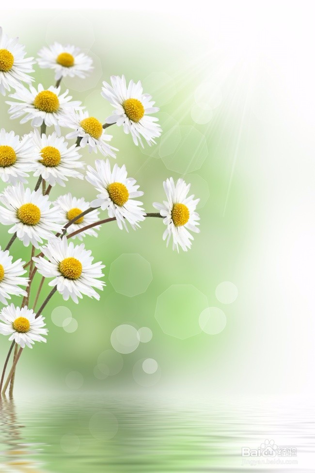 癌症的初步了解和预防（个人观点）