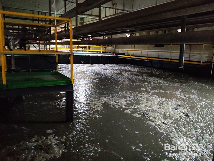 污水处理厂氨氮超标技术诊断及达标修复方案