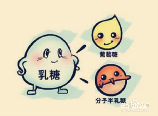 如何选择适合宝宝的乳糖不耐受产品