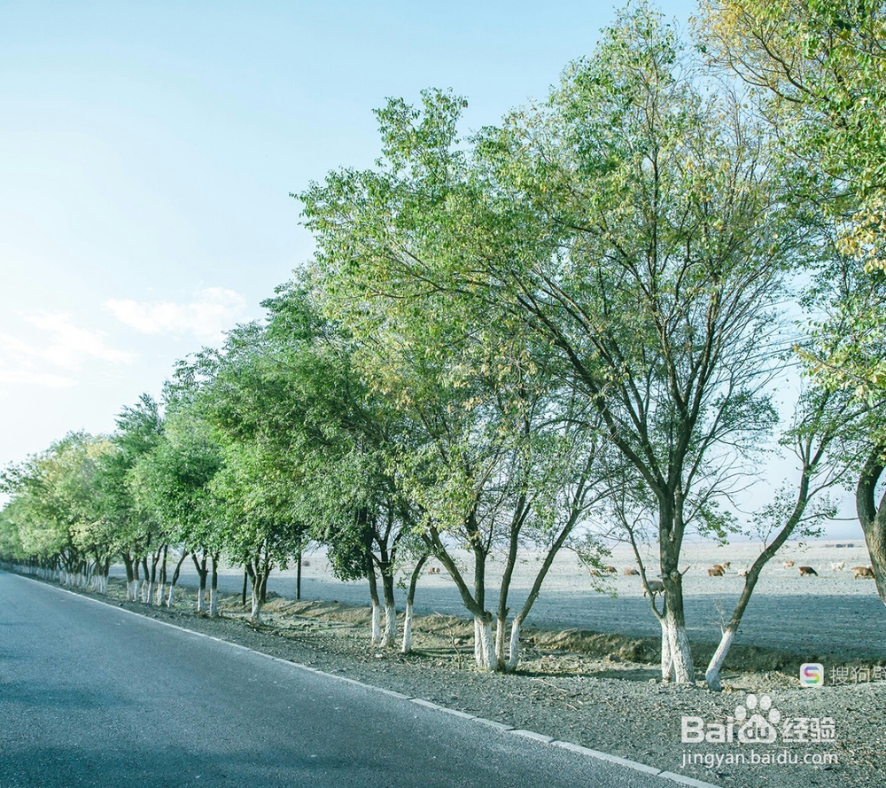 如何在高速公路上安全行驶