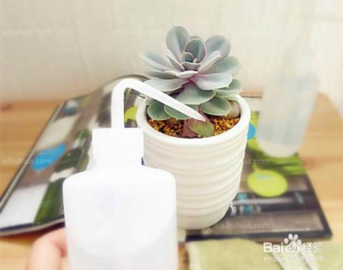 怎样防止植物盆栽浇水后底部漏水 弄脏桌面 百度经验 怎样防止植物盆栽浇水后底部漏水 弄脏桌面 百度经验