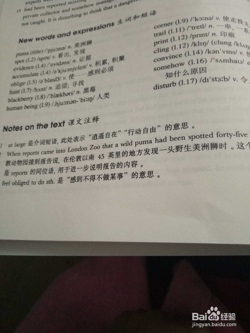 高三考生如何应对英语