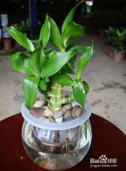 家中必不可少的东西