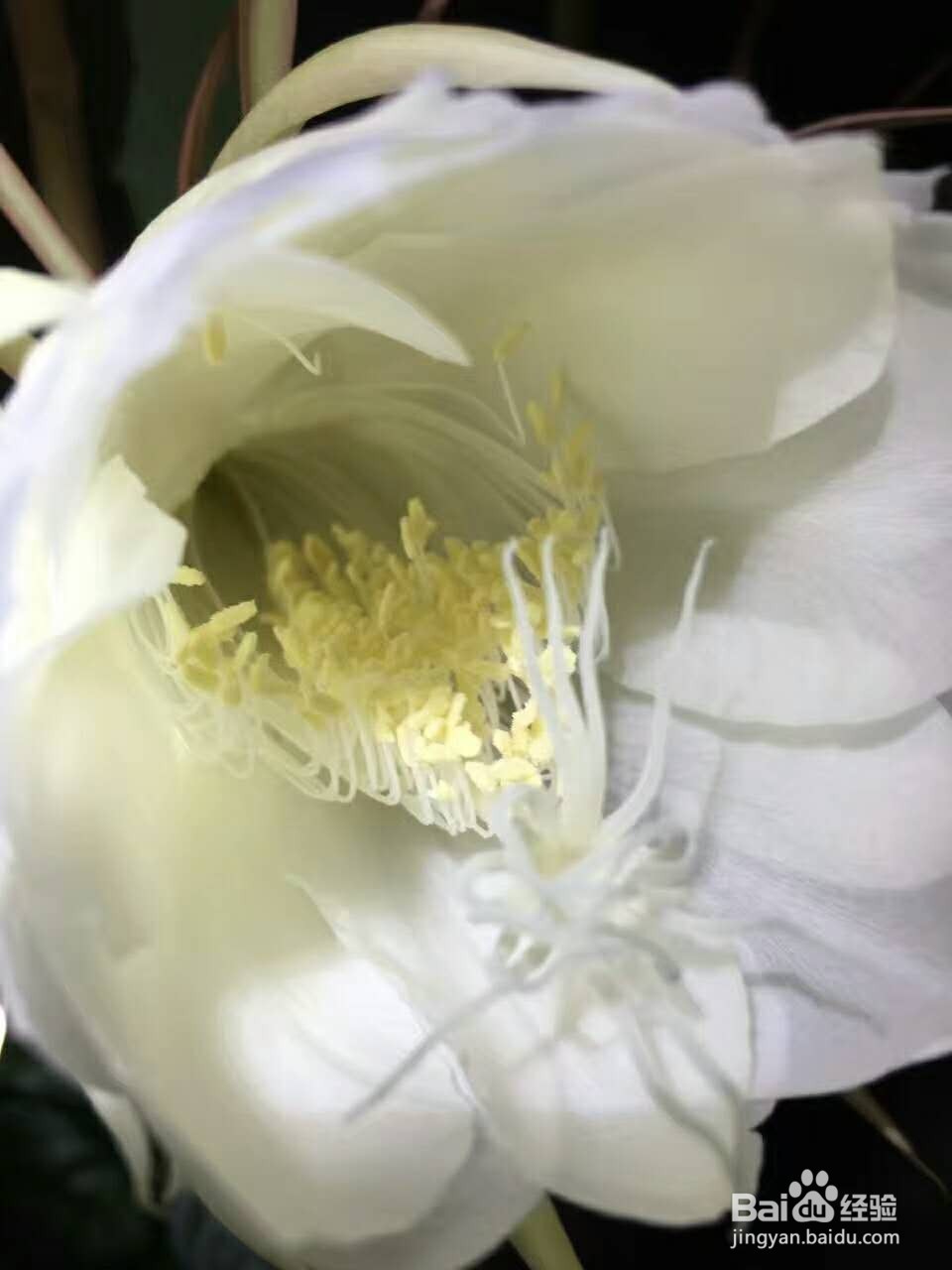 做到这些事项可以提高免疫力。