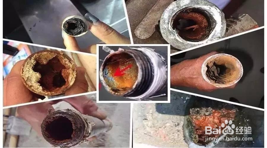 水中有什么？自来水到底要不要清洗？