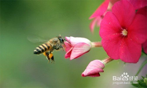 经常失眠怎么办？