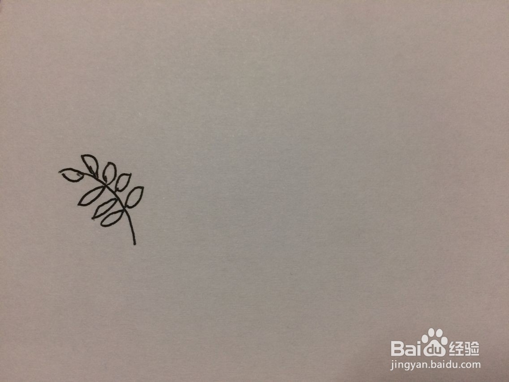 黑板报小花插图的画法