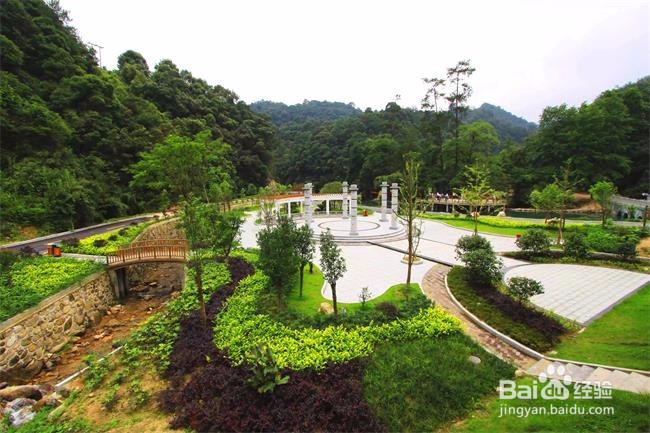 九龙江风景区旅游景点攻略