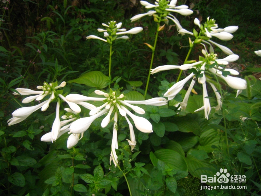 孩子的教育是潜移默化的