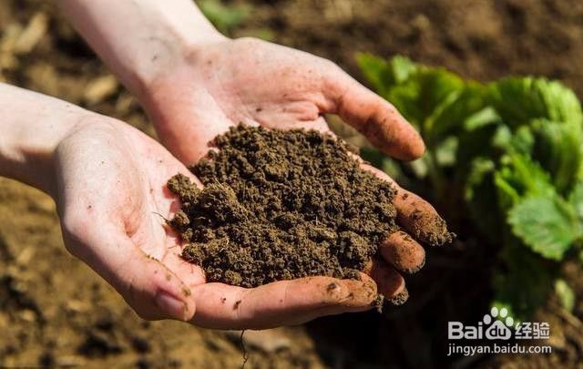 土壤养分测定仪该如何选购（土壤养分测定仪价格）