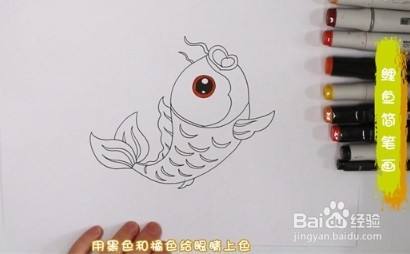 简笔画系列-怎么画鲤鱼简笔画