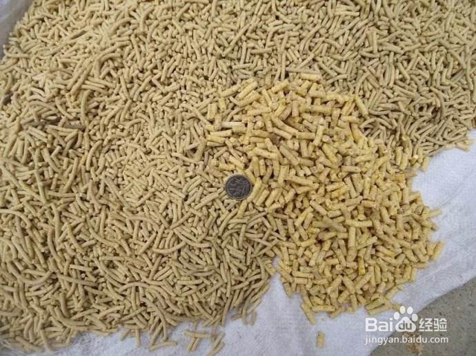 虾的饲料制作方法与步骤