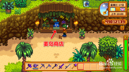 星露谷物语姜岛攻略