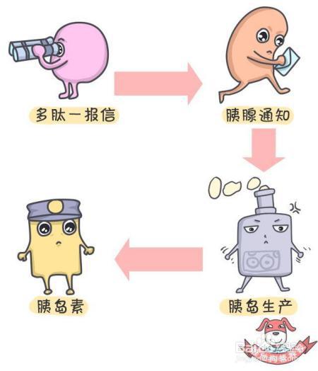 每10人就有1个糖尿病！年轻人别侥幸，学点知识防身吧！