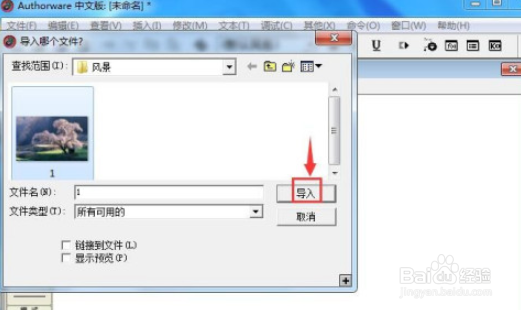 Authorware图片如何设置垂直百叶窗式特效步骤