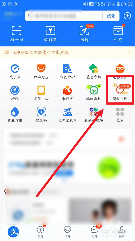 蚂蚁庄园手机蓝光对皮肤是否有影响