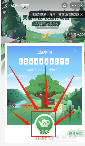 如何在支付宝公益林中浇水#入学准备攻略#