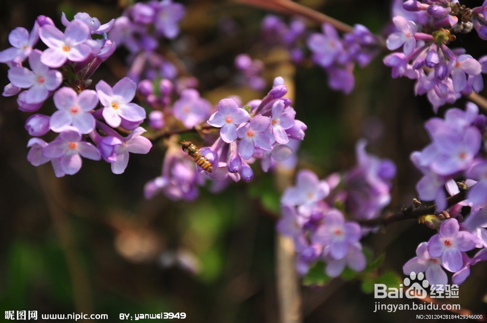 中考政治开卷答题技巧与注意事项