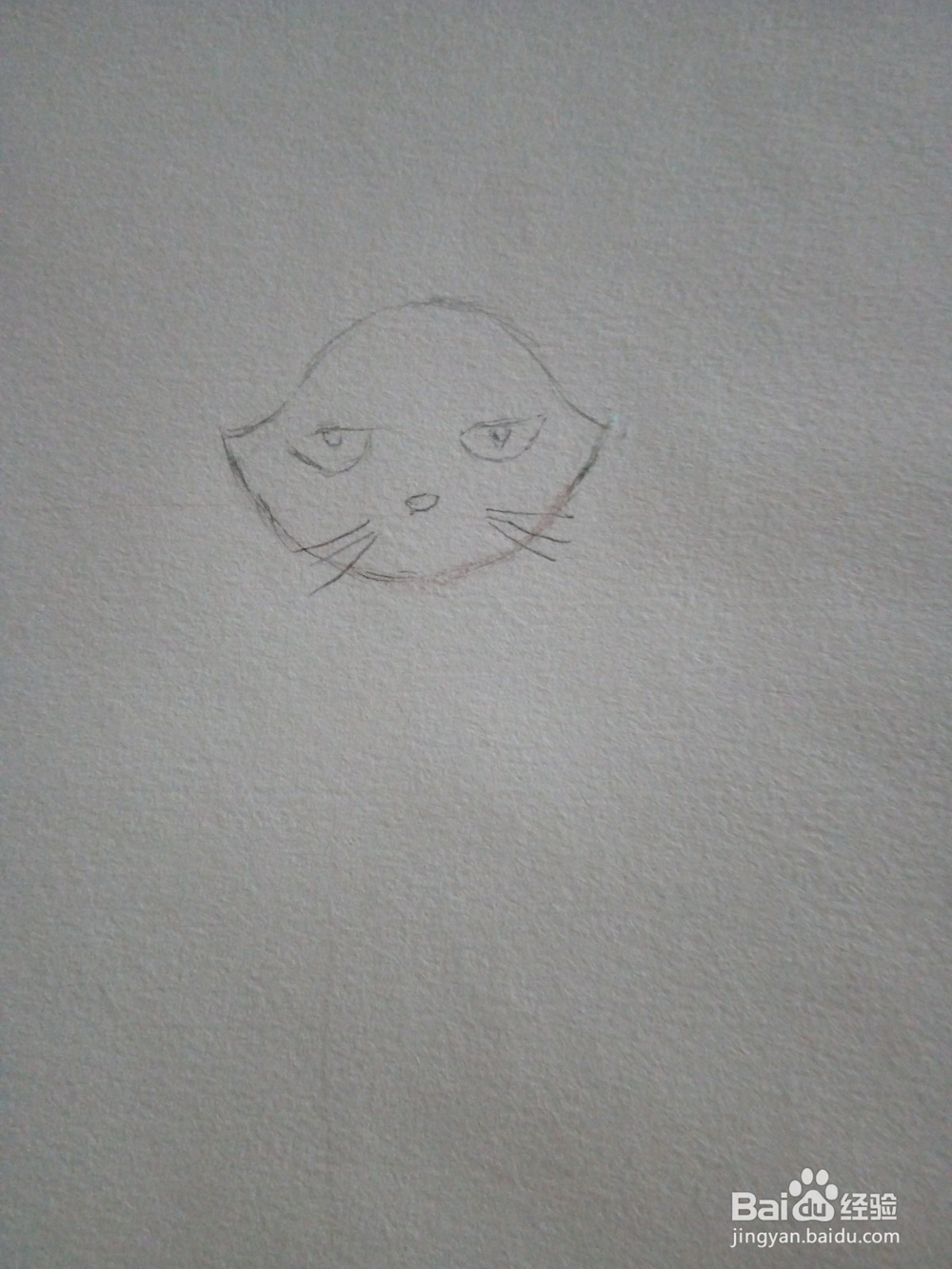 幼儿简笔画小猫的画法